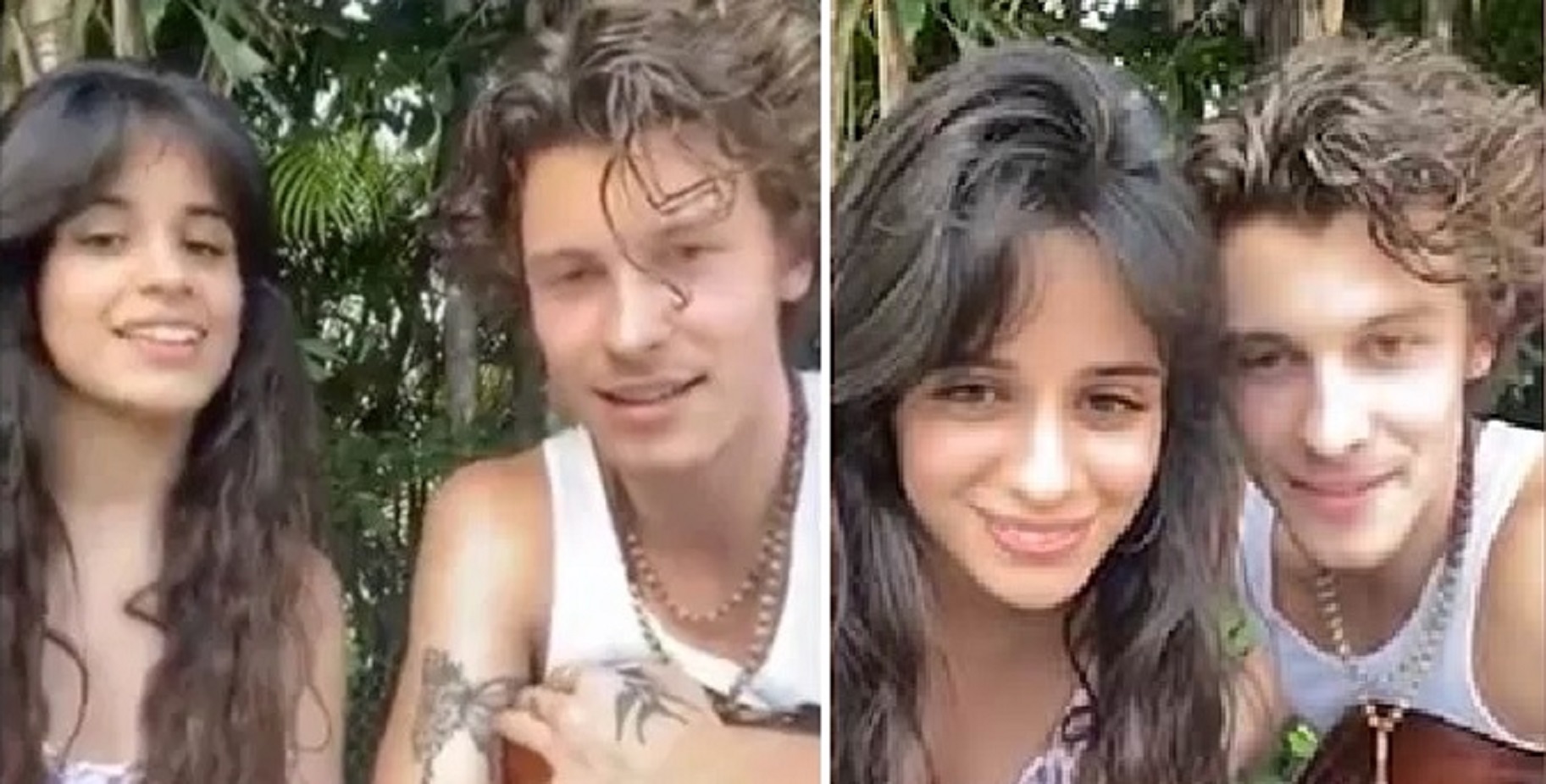 Did You Miss It? Camila Cabello and Shawn Mendes Give Free Visual Concert For Fans Amidst Coronavirus Quarantine!