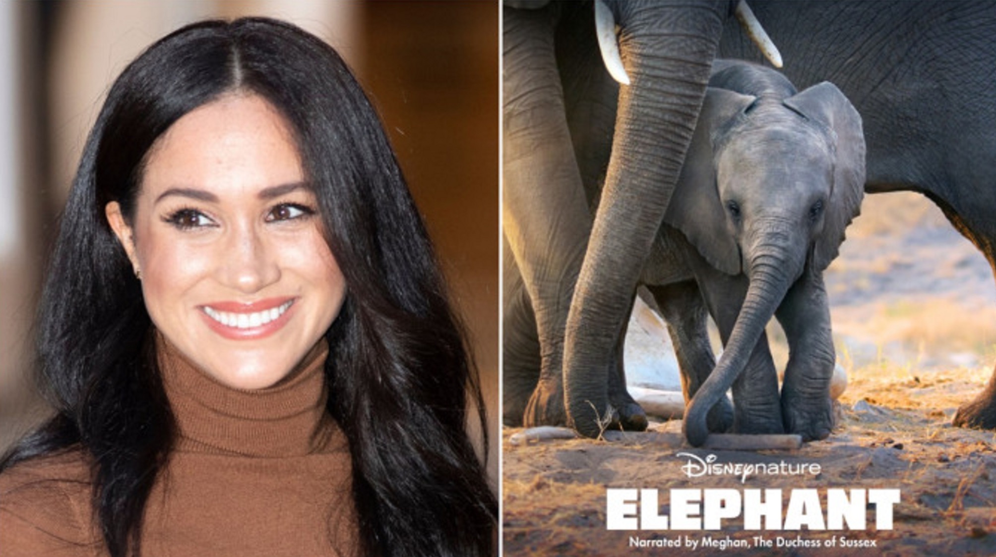 Meghan Markle Lends Her Voice for Disney Nature’s Elephant