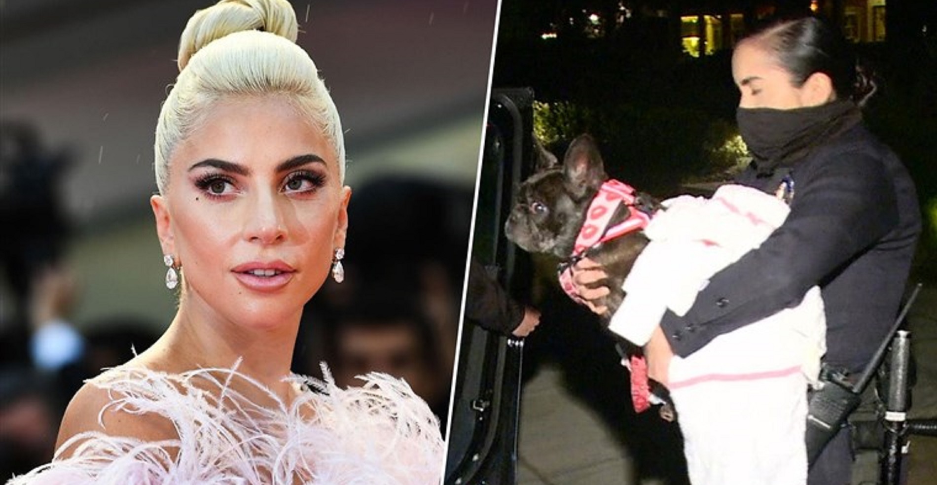 Lady Gaga’s Dogs Kidnapped, Dog-Walker Brutally Shot, She Offers $500,000 For Their Return – “No Questions Asked”