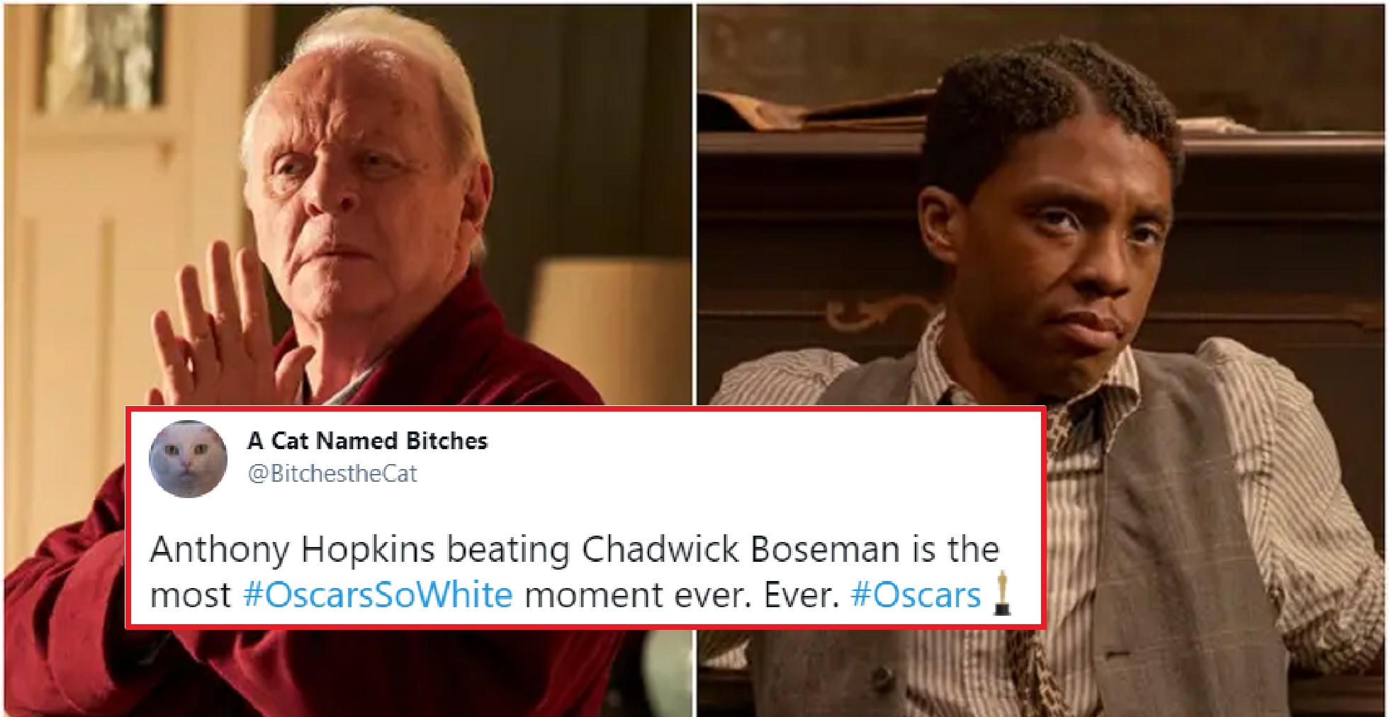 #OscarsSoWhite Trends Again, After Both Chadwick Boseman & Andra Day Suffer Historic Losses